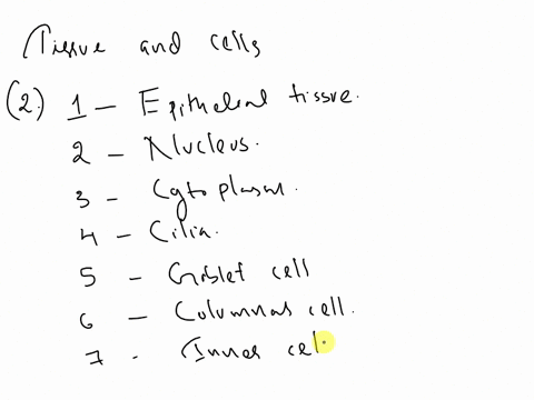 part-b-matching-only-exercise-2label-each-structure-1identify-tissue-2-identify-structure-3-identify-structure-4-identify-fine-structure-5-identify-cell-6-identify-cell-7-identify-bottom-lin-60145