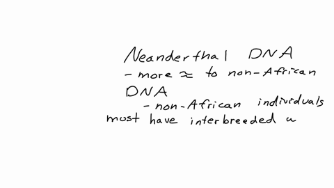comparisons-of-neanderthal-dna-revealed-that-there-are-more-similarities-to-non-african-dna-than-reference-sequences-from-west-africans-additionally-scientists-found-that-neanderthal-dna-is-as-closely