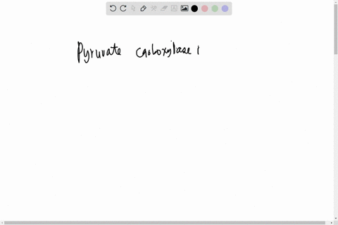 pyruvate-carboxylase-catalyzes-one-of-the-most-important-anaplerotic-reactions-is-this-enzyme-regulated-allosterically-and-if-so-by-what-molecule-is-this-molecule-a-positive-or-negative-modu-14625