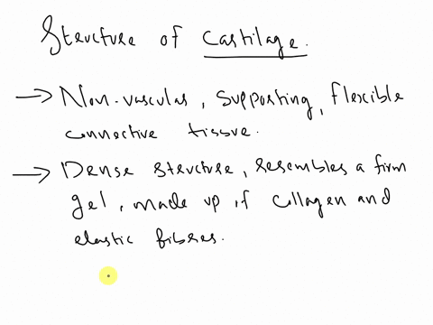what-is-the-structure-of-cartilage-63836