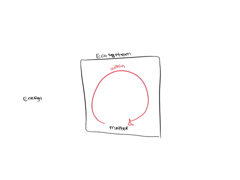 true-or-false-energy-cycles-through-and-within-ecosystems