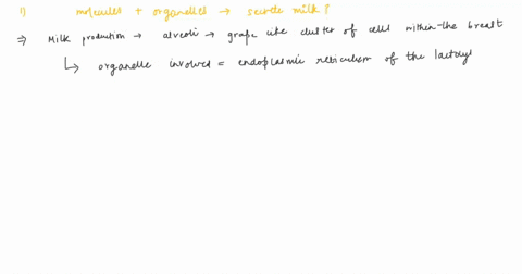 which-molecules-and-organelles-inside-mammary-gland-cells-interact-to-produce-and-secrete-a-complex-substance-such-as-milk-99421