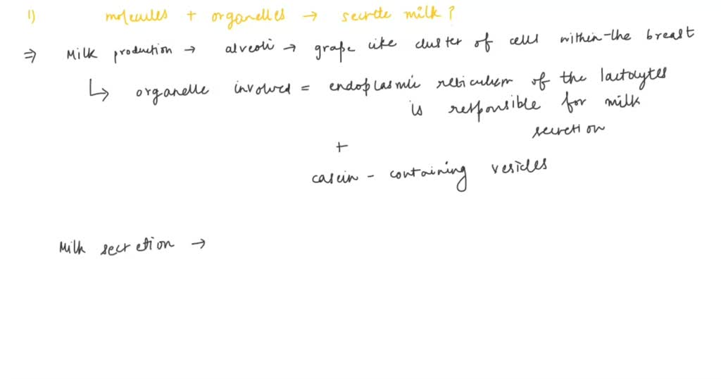 SOLVED: Which molecules and organelles inside mammary gland cells ...