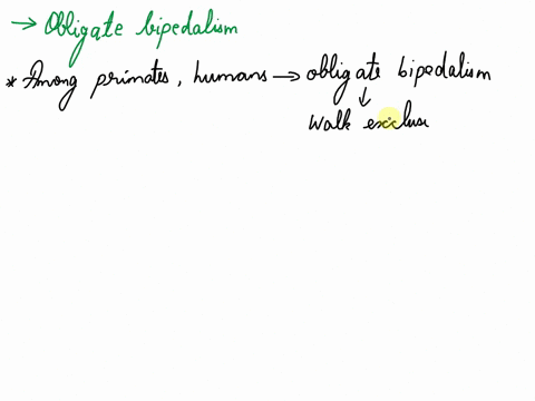which-morphological-traits-are-unique-to-humans-among-primates-obligate-bipedalism-opposable-thumbs-menopause-asymmetry-in-brainhandedness-30031