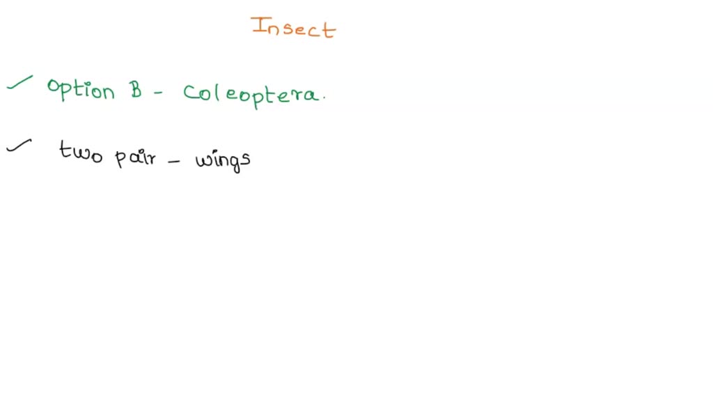 SOLVED You find an insect with two membranous hind wings that fold