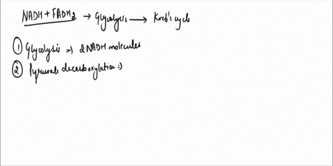 for-each-molecule-of-glucose-that-is-metabolized-from-glycolysis-to-the-end-of-the-citric-acid-cycle-what-is-the-total-number-of-electron-carrier-nadh-fadhz-molecules-produced-select-one-d12-56882