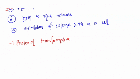 how-do-we-describe-transformation-in-bacteria-it-is-the-process-of-________-a-the-creation-of-a-strand-of-rna-from-a-dna-molecule-b-the-type-of-semiconservative-replication-shown-by-dna-c-th-15788