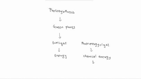 all-of-the-following-are-needed-for-photosynthesis-to-occur-except-select-one-a-carbon-dioxide-b-sunlight-c-water-d-glucose-39447