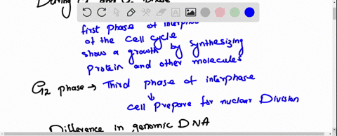 when-cell-in-g1-phase-is-fused-with-cell-in-s-phase-the-nuclei-from-the-g1-phase-cell-immediately-begins-to-replicate-its-dna-in-contrast-when-g2-phase-cell-is-fused-with-an-s-phase-cell-the-36878