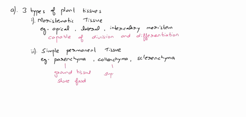 plants-are-comprised-of-several-types-of-tissues-what-are-the-three-types-of-plant-tissues-3-points-give-specitic-exampl-of-each-and-learly-discuss-its-function-3-points-discuss-the-orientat-98193