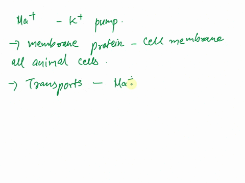 the-major-function-of-the-sodium-potassium-pump-is-toa-pump-na-into-and-k-out-of-the-cellb-generate-the-resting-membrane-potentialc-maintain-the-concentration-gradients-of-na-and-k-across-th-05123
