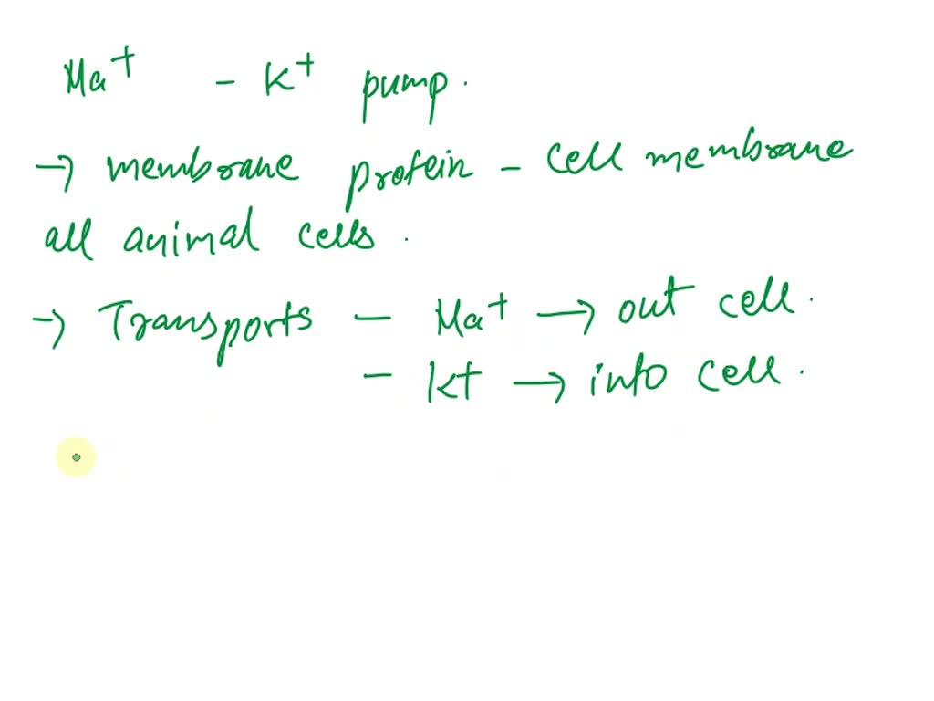 SOLVED The major function of the sodiumpotassium pump is to a. pump