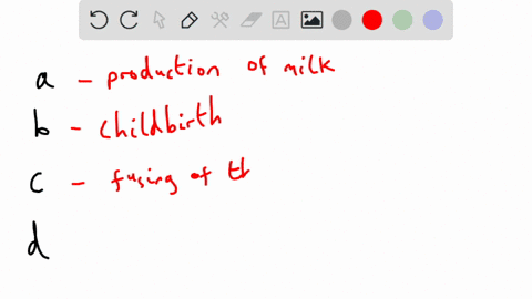 which-of-the-following-events-occurs-shortly-after-implantation-lactation-parturition-fertilization-gastrulation-45634