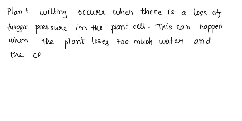 Define Cell Membrane