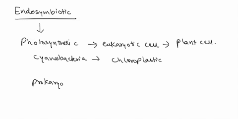 the-endosymbiotic-theory-explains-the-a-origin-of-the-first-prokaryotic-cells-b-origins-of-mitochond-71693
