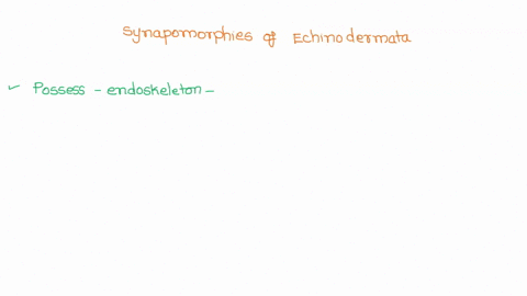 which-of-the-following-are-synapomorphies-of-the-echinodermata-possess-endoskeleton-comprised-of-calcarious-ossicles-formed-from-mesoderm-possess-a-water-vascular-system-consisting-of-fluid-74024