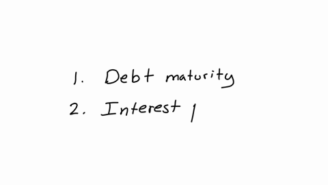 which-of-the-following-years-will-the-peruvian-government-have-the-largest-payments-to-make-88945