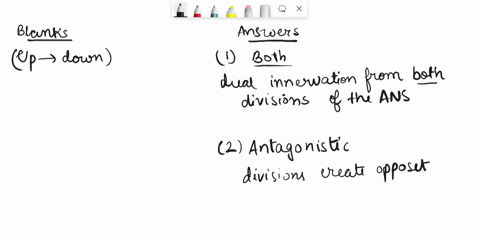 click-and-drag-the-terms-on-the-left-to-accurately-complete-the-sentences-on-the-right-not-all-terms-will-be-used-pcints-antagonistic-dual-innervation-describes-a-scenario-in-which-a-target-15464
