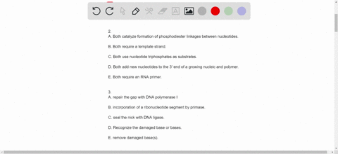 1-a-sequence-of-dna-or-rna-that-directs-the-synthesis-of-a-complimentary-sequence-is-called-a-2-what-feature-is-not-shared-by-both-dna-polymerase-and-rna-polymerase-a-both-catalyze-formation-41478