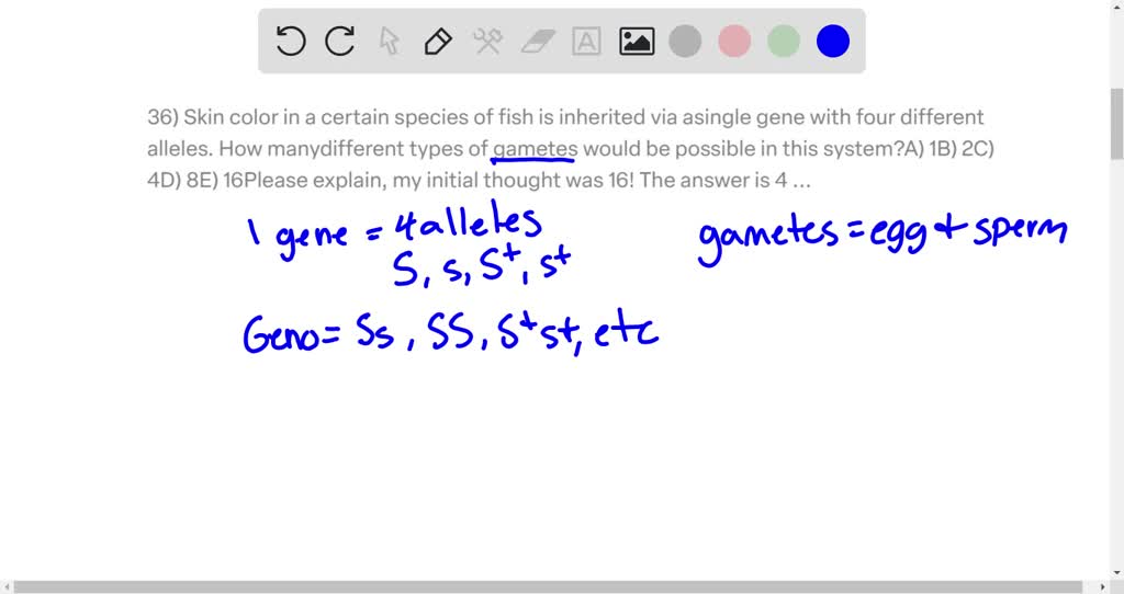 SOLVED Skin color in a certain species of fish is inherited via a