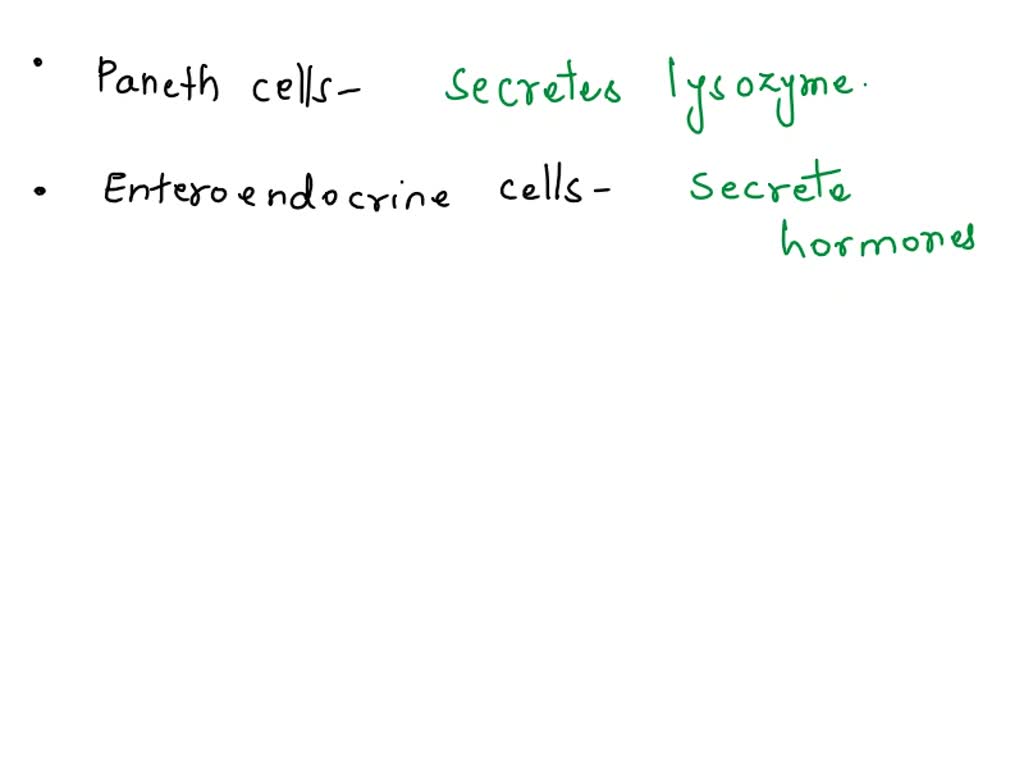 SOLVED cells, Enteroendocrine cells, Goblet Cells, Absorptive
