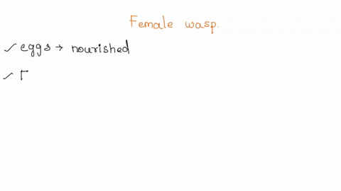 what-is-the-advantage-the-female-wasp-has-of-laying-her-eggs-inside-the-immature-fig-seeds-38877