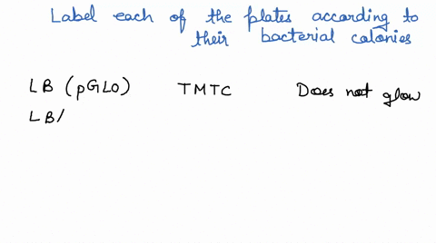 label-each-of-the-plates-according-to-their-bacterial-colonies-or-lack-thereof-note-that-all-four-plates-in-the-image-are-exposed-to-uv-light-2-pts-pglo-lb-pglo-lbamp-pglo-lbamp-pglo-lbampla-65932