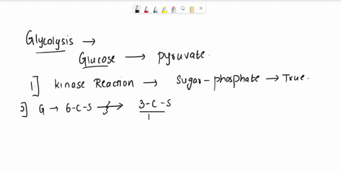 the-regulation-of-glycolysis-is-a-pathway-with-a-committed-step-that-is-allosterically-regulated-true-or-false-glycolysis-involves-of-the-following-reactions-a-kinase-reaction-creating-a-sug-40393