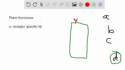 a-plant-cells-response-to-a-hormone-depends-on-_____-a-which-hormone-receptors-it-has-b-the-way-its-72645