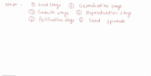 which-of-the-following-statement-is-true-about-the-life-cycle-of-flowering-plants-thc-sporophyte-is-diploid-the-male-gametophyte-is-the-pollen-brain-all-of-the-answer-choices-are-true-the-fe-42649