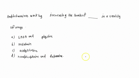 amphetamines-work-by-increasing-the-levels-of-_____________-in-a-variety-of-ways-a-gaba-and-glycine-76235