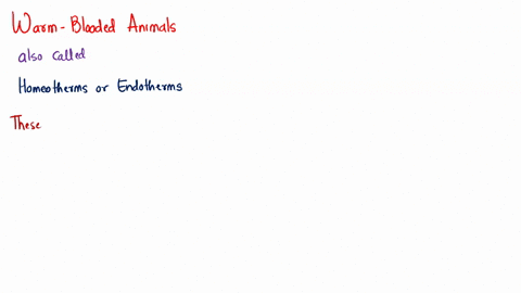another-name-for-a-warm-blooded-animal-is-98315