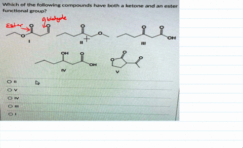 which-of-the-following-compounds-have-both-a-ketone-and-an-ester-functional-group-oh-oh-oh-0-0-iv-0-09127