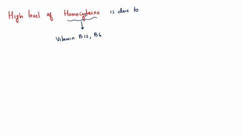 deficiency-of-which-of-the-following-vitamins-leads-to-high-levels-of-homocysteine-in-the-blood