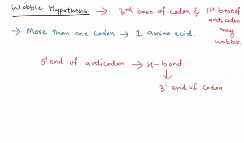 a-the-wobble-hypothesis-predicts-that-u-in-the-first-anticodon-position-should-pair-with-a-or-g-in-the-third-codon-position-the-wobble-position-draw-ua-and-ug-base-pairs-it-may-help-to-first-45054