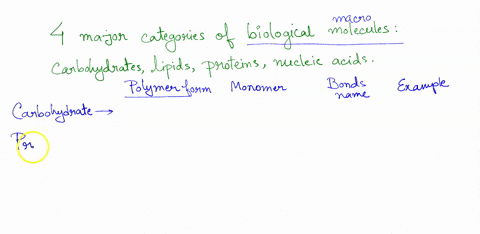 6-what-are-the-four-major-categories-of-biological-macromolecules-for-each-category-of-macromolecule-what-are-the-building-blocks-and-what-are-the-bonds-that-join-the-building-blocks-togethe-35835