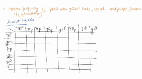 1-consider-mendels-green-or-yellow-peas-that-can-also-be-round-or-wrinkled-and-can-have-purple-or-white-flowers-pea-seed-color-is-inherited-via-the-y-locus-with-genotypes-yy-and-yy-producing-68386
