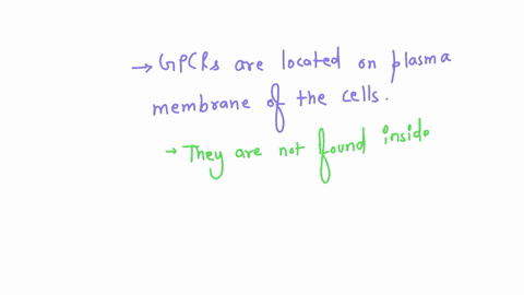 which-of-the-following-statements-about-the-superfamily-of-g-protein-coupled-receptors-is-incorrect-2-marks-they-are-coupled-to-heterotrimeric-g-proteins-in-their-signal-transduction-pathway-44898