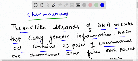 threadlike-strands-of-dna-that-carry-genetic-information-are-known-as-______-a-stem-cells-b-genes-c-56435