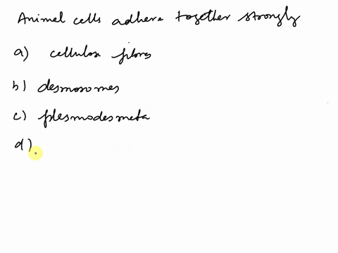 animal-cells-adhere-together-strongly-through-which-are-supported-by-intermediate-filaments-a-cellulose-fibers-b-desmosomes-c-plasmodesmata-dtight-junctions-e_-gap-junctions-59392