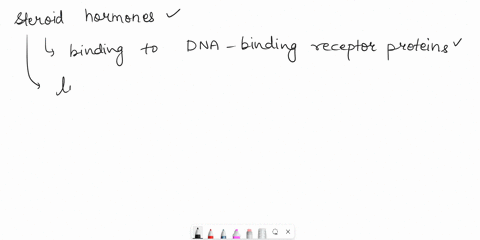 steroid-hormones-regulate-gene-expression-by-binding-to-plasma-membrane-bound-receptors-that-then-regulate-gene-expression-through-activation-of-an-intracellular-signaling-cascade-binding-to-10615