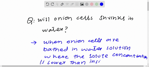 will-an-onion-cell-shrink-in-water-31473
