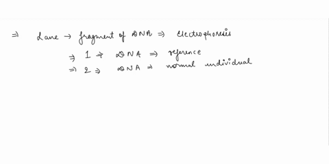 explain-what-is-happening-in-each-lane-why-do-you-see-these-fragments-4-points-gel-lanes-iv-plasmid-8-kb-24-kb-ecorv-ecorv-pmdc32-24-kb-2-15-kb-3-10-kb-7-kb-2-kb-10-kb-clal-4-kb-5-kb-clal-2-14753