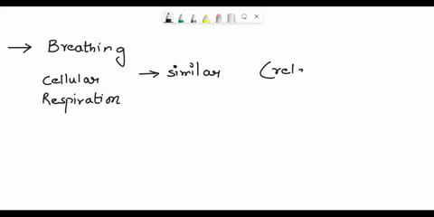 how-are-breathing-and-cellular-respiration-similar-how-are-they-different-52762