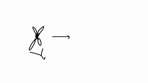 at-which-stage-of-meiosis-are-sister-chromatids-separated-from-each-other-a-anaphase-i-b-anaphase-ii-95878
