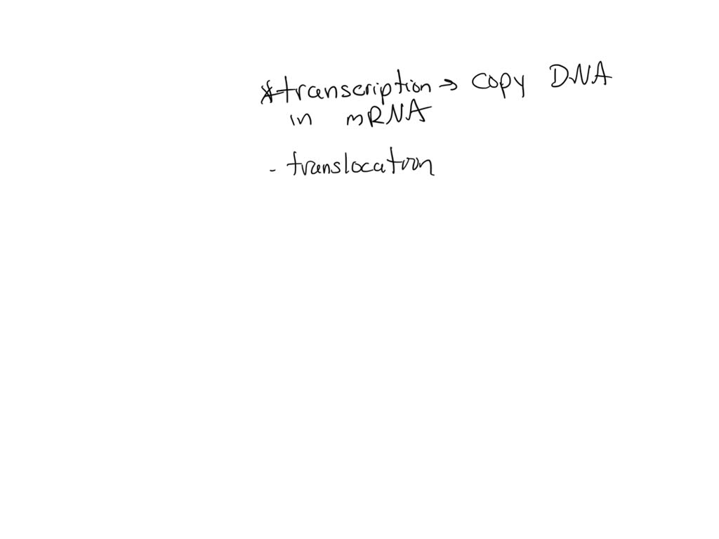 SOLVED The diagram shows one step in the process of protein synthesis