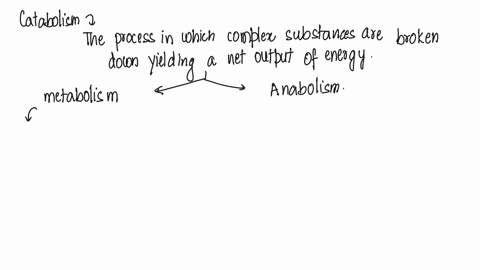 which-of-the-following-statements-about-metabolism-are-true-1-catabolism-is-the-process-in-which-complex-substances-are-broken-down-yielding-a-net-output-of-energy-2-metabolism-is-an-integra-75168