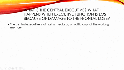 what-is-the-central-executive-what-happens-when-executive-function-is-lost-because-of-damage-to-th-2-24574