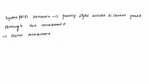 to-answer-questions-15-18-pick-from-the-following-questions-hydrophilic-hormone-b-hydrophobic-hormone-15-must-bind-to-a-transport-protein-in-the-bloodstream-16-can-pass-easily-through-the-ph-65656