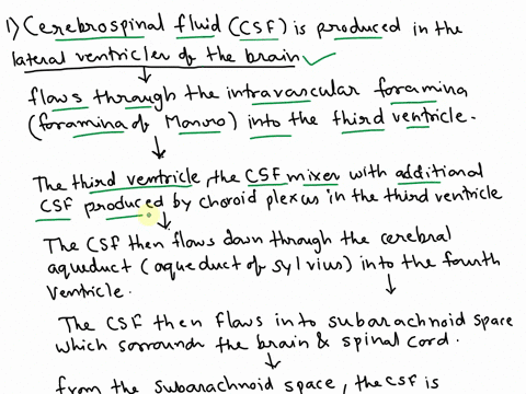 describe-the-flow-of-cerebrospinal-fluid-from-a-point-of-origin-in-a-lateral-ventricle-to-the-point-of-reabsorption-into-the-superior-sagittal-sinus-of-the-dura-mater-21819